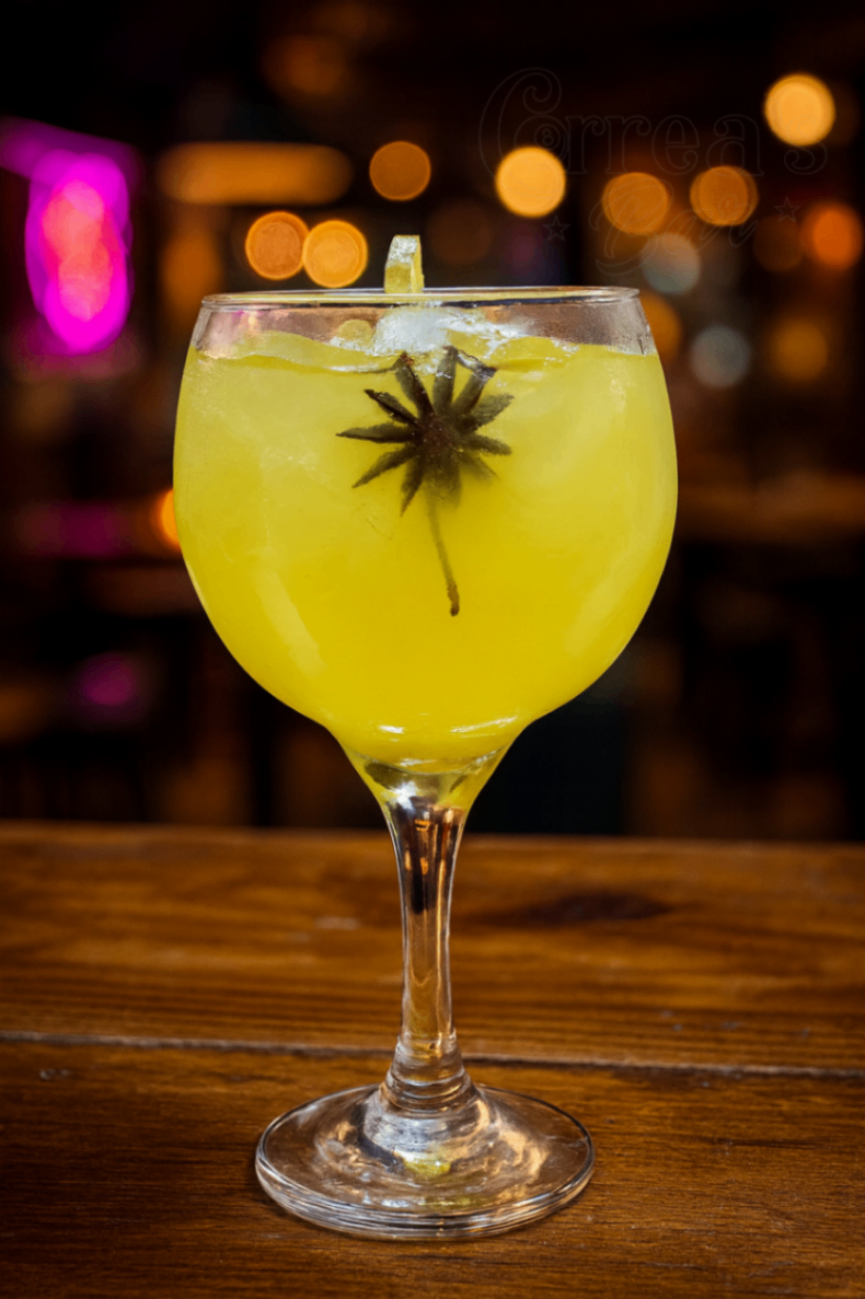 Gin Especiarias